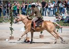 Pferd International 143